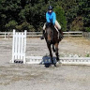 Meet your Posher, Whitney